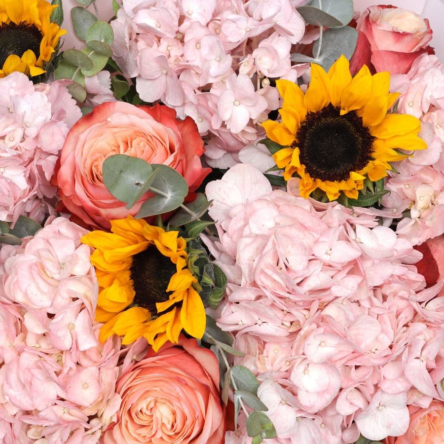 Букет из Подсолнухов, Гортензии и Роз Кахала «Медовый рассвет»