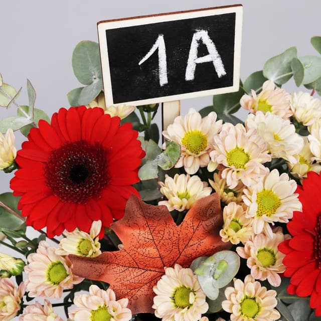 Композиция из Гермини и Сантини «Листопад знаний» Композиция из Гермини и Сантини «Листопад знаний»