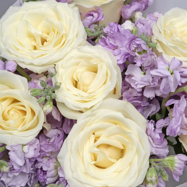 Букет из Роз и Маттиол «Пастельная гармония» Букет из Роз и Маттиол «Пастельная гармония»