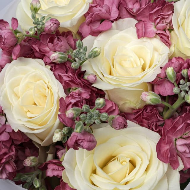 Букет из Роз и Маттиол «Сливочная нежность» Букет из Роз и Маттиол «Сливочная нежность»