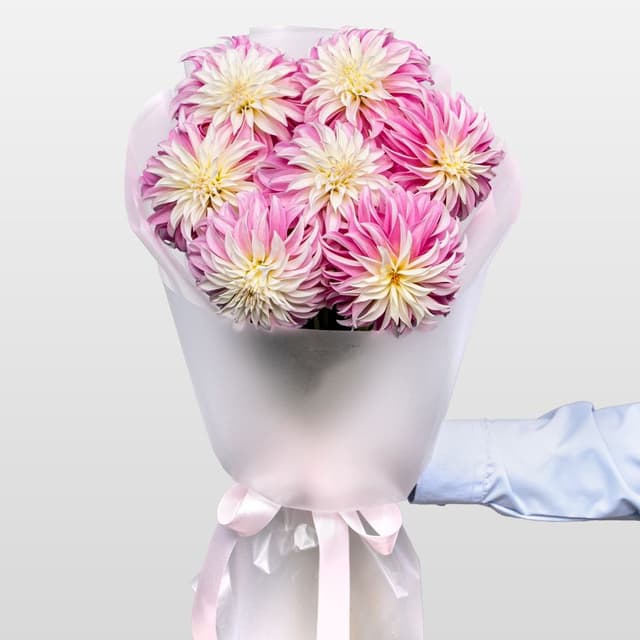 Букет из Георгин «Сахарное Облако» Букет из Георгин «Сахарное Облако»