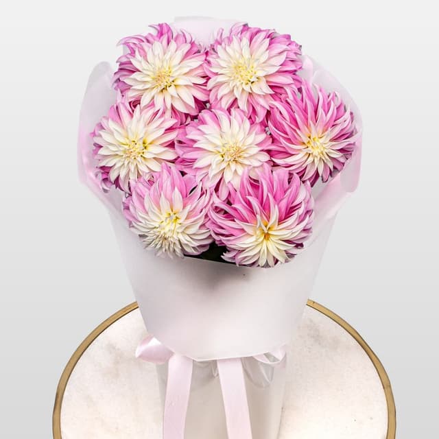 Букет из Георгин «Сахарное Облако» Букет из Георгин «Сахарное Облако»