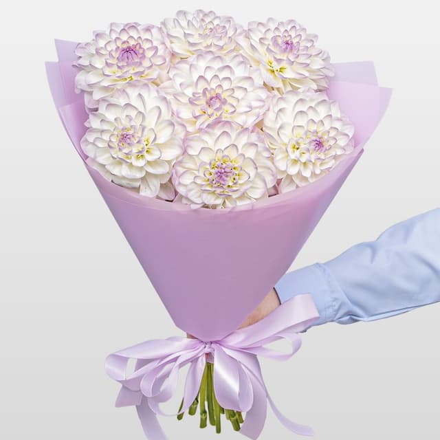 Букет из Георгин «Ангельский Шепот» Букет из Георгин «Ангельский Шепот»