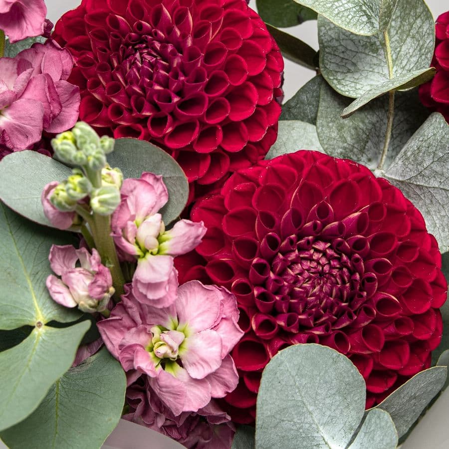 Букет из Георгин и Маттиолы «Вечер в Саду»