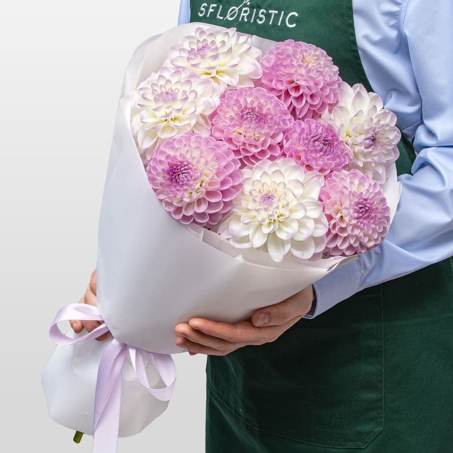 Букет из Георгин «Утренняя Вуаль»