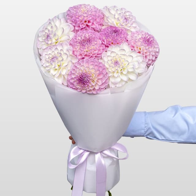 Букет из Георгин «Утренняя Вуаль» Букет из Георгин «Утренняя Вуаль»