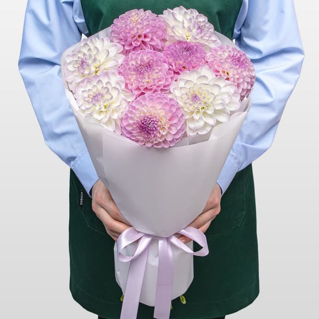 Букет из Георгин «Утренняя Вуаль» Букет из Георгин «Утренняя Вуаль»