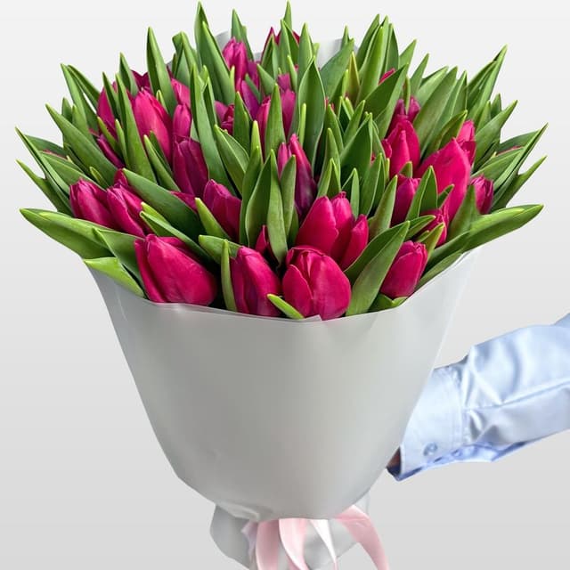Букет розовых Тюльпанов 51 шт «Яркое Соло» Букет розовых Тюльпанов 51 шт «Яркое Соло»