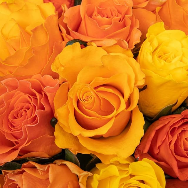 Букет Роз Кения 40 см желто-оранжевый микс 31 шт «Витамин Счастья» Букет Роз Кения 40 см желто-оранжевый микс 31 шт «Витамин Счастья»