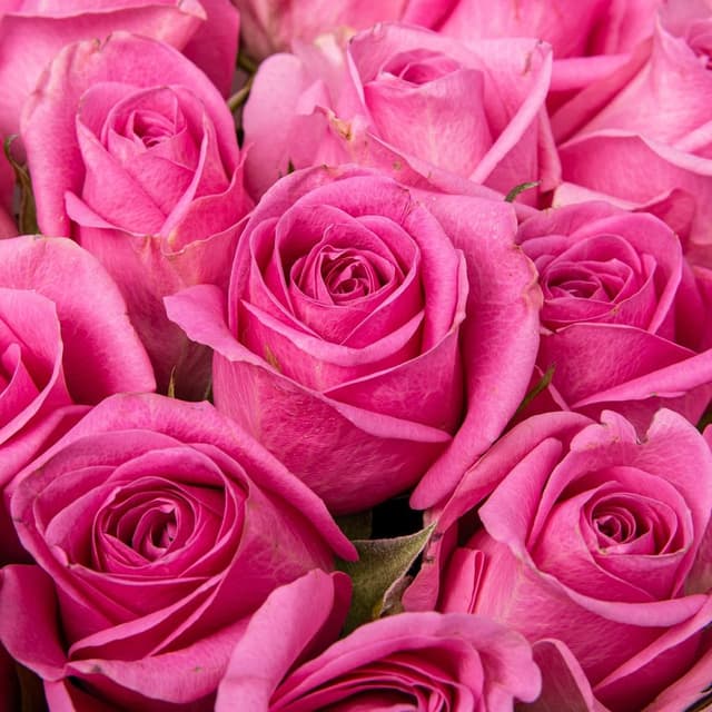 Букет розовых Роз Кения 40 см 25 шт «Девичьи Секреты» Букет розовых Роз Кения 40 см 25 шт «Девичьи Секреты»