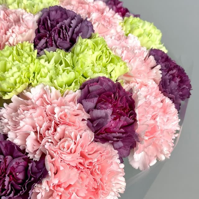 Букет из розовых, фиолетовых и зеленых Гвоздик 25 шт «Тайное Желание» Букет из розовых, фиолетовых и зеленых Гвоздик 25 шт «Тайное Желание»