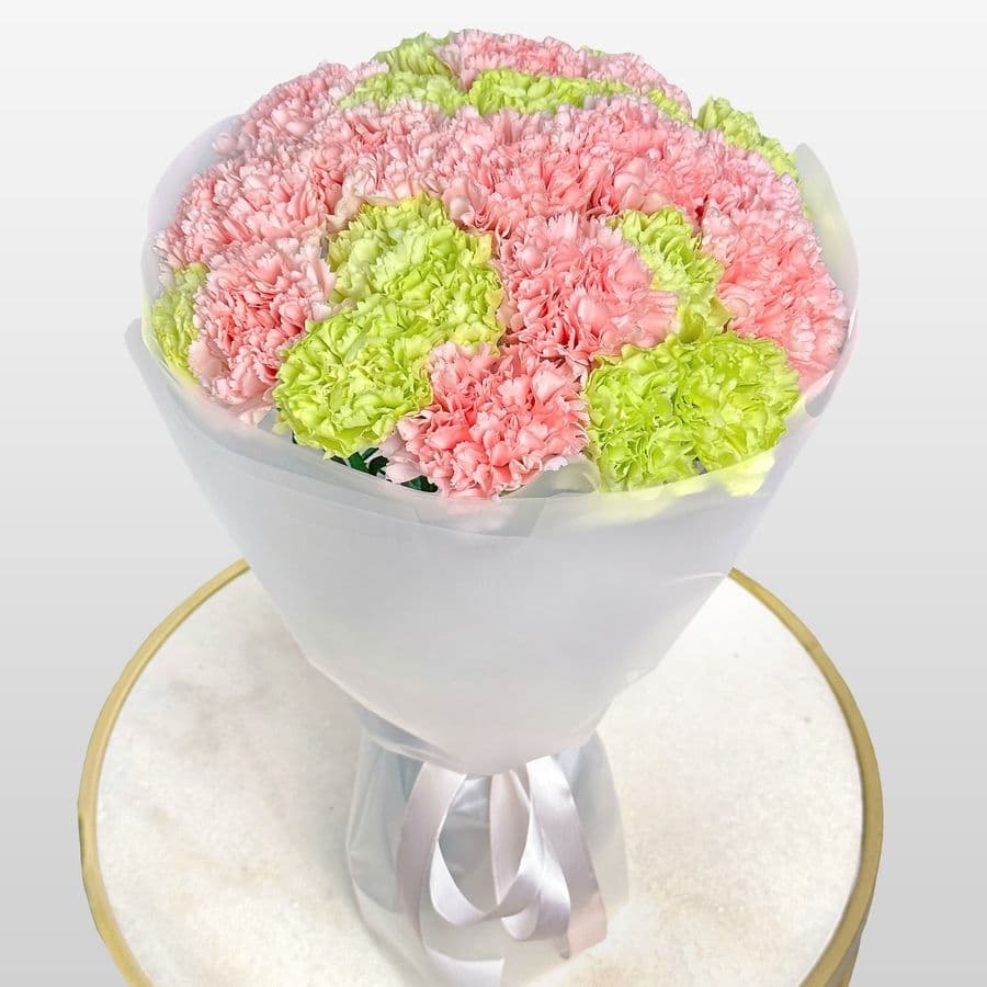 Букет из розовых и зеленых Гвоздик 25 шт «Апрельский Дождь»