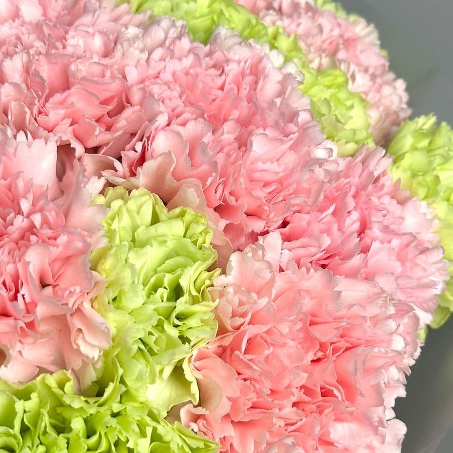 Букет из розовых и зеленых Гвоздик 25 шт «Апрельский Дождь»