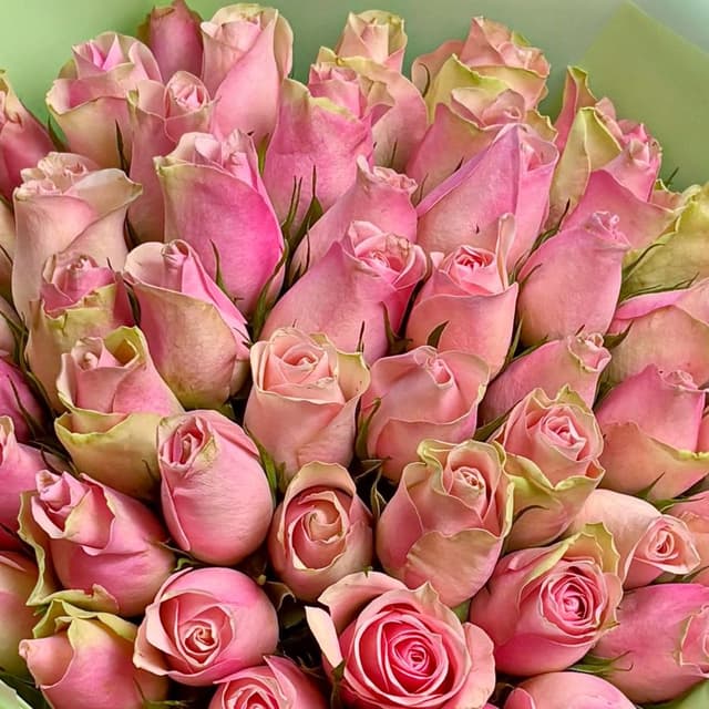 Букет из розовых Роз Кения 40 см 51 шт «Признание без Слов» Букет из розовых Роз Кения 40 см 51 шт «Признание без Слов»