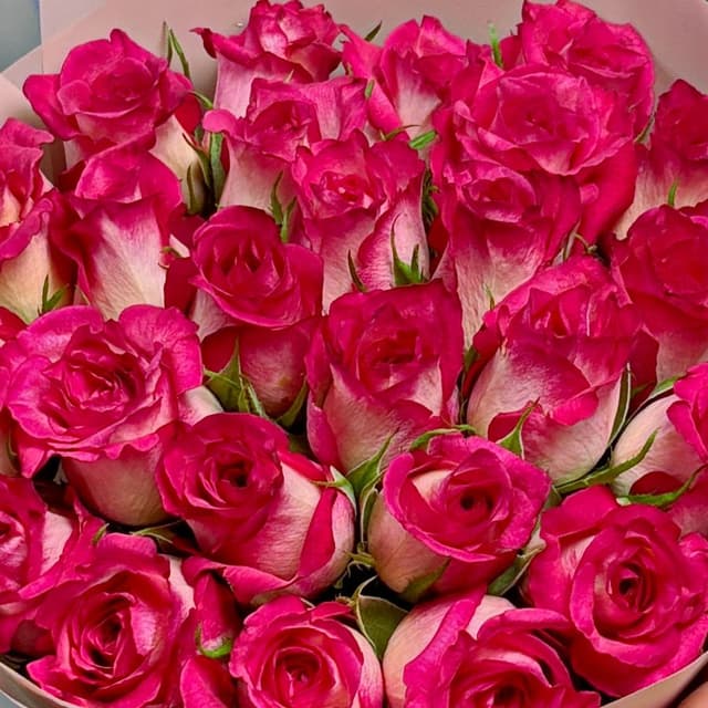 Букет из розовых Роз Кения 40 см 25 шт «Пламя Страсти» Букет из розовых Роз Кения 40 см 25 шт «Пламя Страсти»