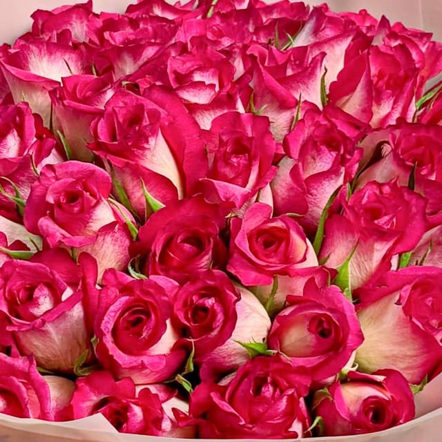 Букет из розовых Роз Кения 40 см 51 шт «Вихрь Эмоций» Букет из розовых Роз Кения 40 см 51 шт «Вихрь Эмоций»
