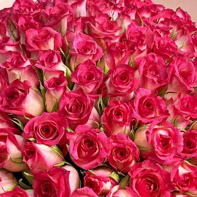 Букет из розовых Роз Кения 40 см 101 шт «Притяжение» Букет из розовых Роз Кения 40 см 101 шт «Притяжение»