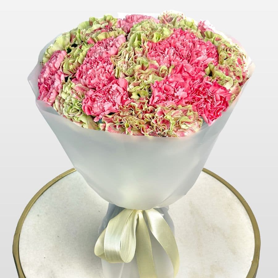 Букет из розовых и зеленых Гвоздик 35 шт «Эхо Весны»