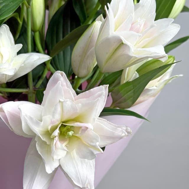 Букет из Махровых Лилий 9 шт «Фарфоровая Нега» Букет из Махровых Лилий 9 шт «Фарфоровая Нега»