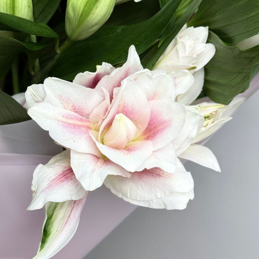 Букет из Махровых Лилий 15 шт «Ода Любви»