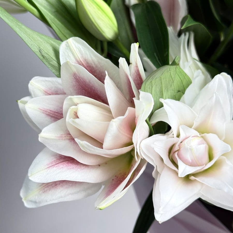 Букет из Махровых Лилий 15 шт «Ода Любви»