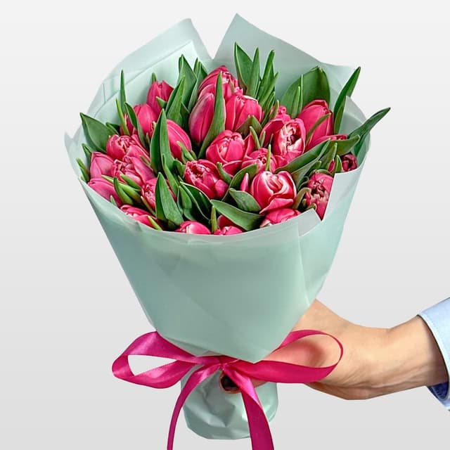 Букет из малиновых Тюльпанов 25 шт «Кардинал» Букет из малиновых Тюльпанов 25 шт «Кардинал»