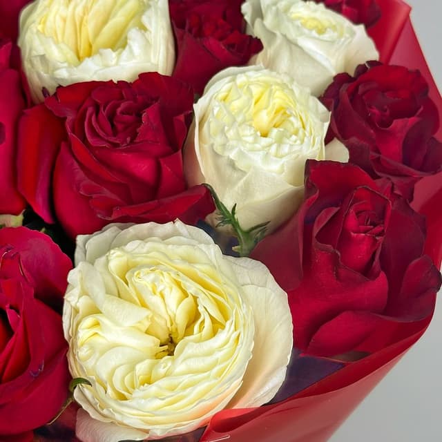 Букет из Роз Кения 60 см и Пионовидных Роз «Союз Сердец» Букет из Роз Кения 60 см и Пионовидных Роз «Союз Сердец»