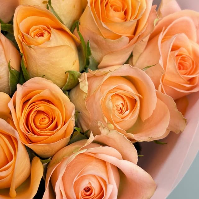 Букет из персиковых Роз Кения 40 см 51 шт «Теплый кашемир» Букет из персиковых Роз Кения 40 см 51 шт «Теплый кашемир»