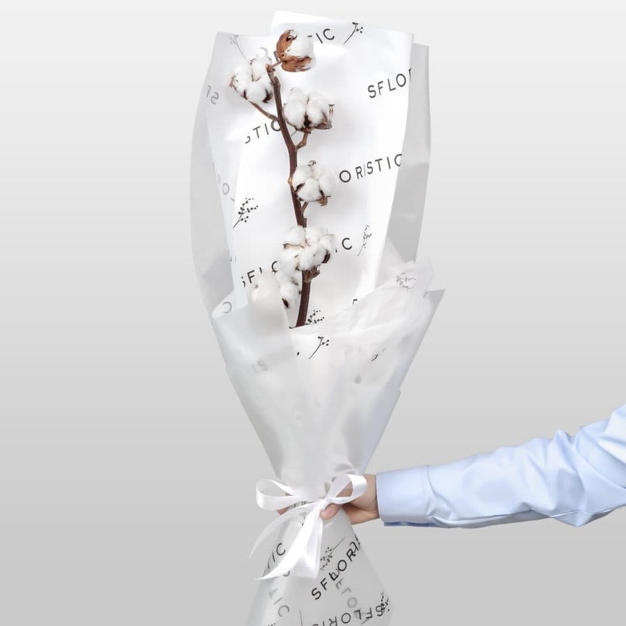 Букет из ветки Хлопка «Мягкое Прикосновение»