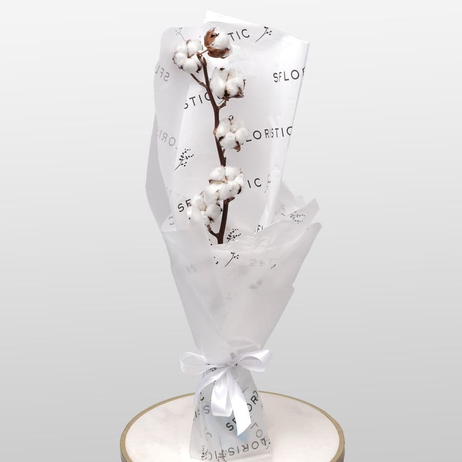 Букет из ветки Хлопка «Мягкое Прикосновение»