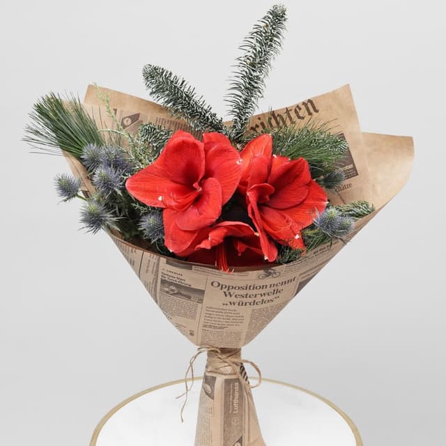 Новогодний букет из Амариллиса и Эрингиума «Рождественский Свет» Новогодний букет из Амариллиса и Эрингиума «Рождественский Свет»