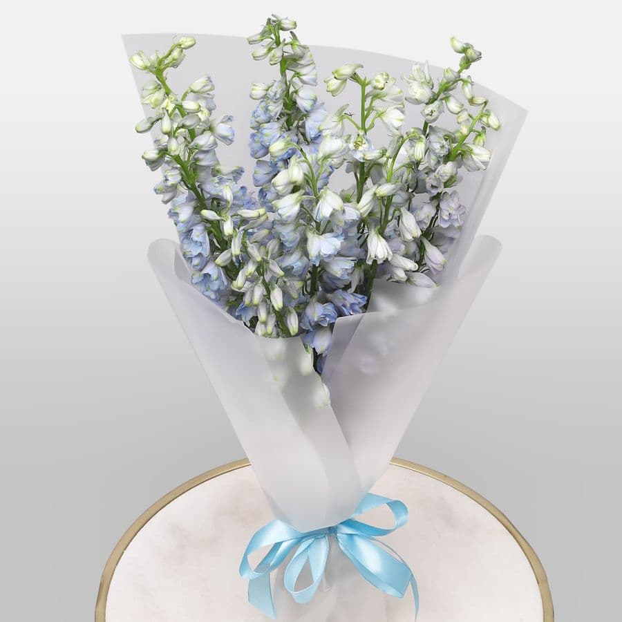 Букет из Дельфиниума 9 шт «Лазурная Нежность»