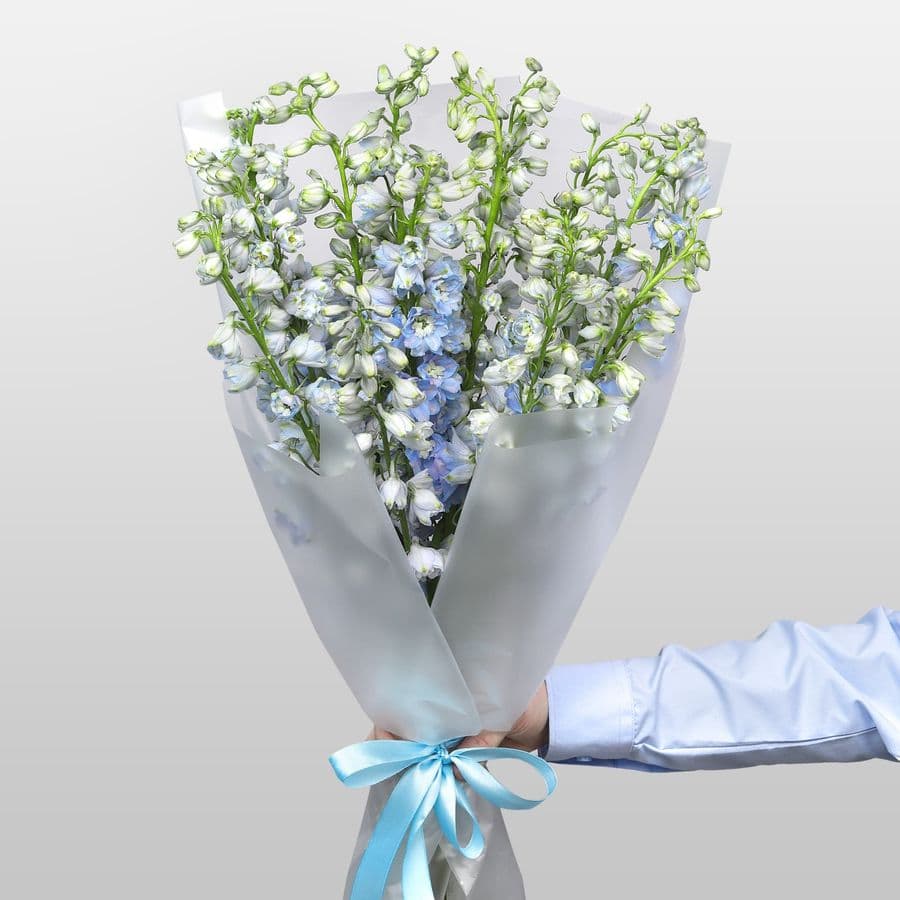 Букет из Дельфиниума 15 шт «Летний Дождь»