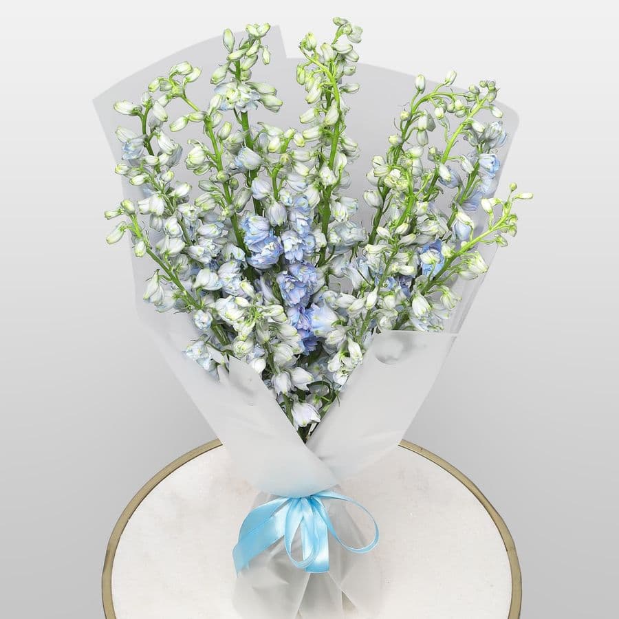 Букет из Дельфиниума 15 шт «Летний Дождь»