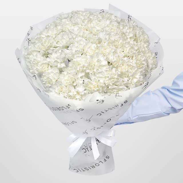 Букет из Белых Гвоздик 51 шт «Фарфоровая Мечта» Букет из Белых Гвоздик 51 шт «Фарфоровая Мечта»