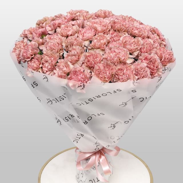 Букет из Пудрово-Розовых Гвоздик 51 шт «Мягкие Объятия» Букет из Пудрово-Розовых Гвоздик 51 шт «Мягкие Объятия»