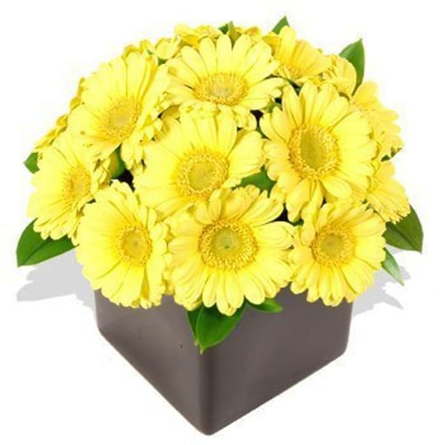 Композиция из Гербер «Кубок из гербер» Композиция из Гербер «Кубок из гербер»