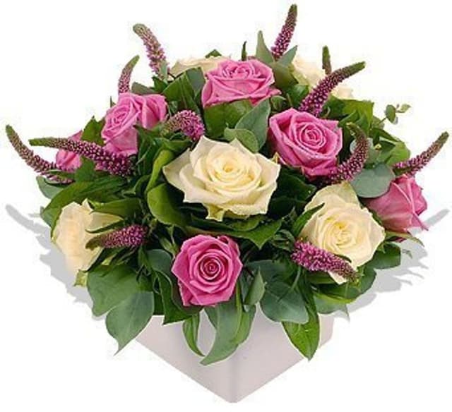 Букет из Роз и Вероники «Мечта о леди» Букет из Роз и Вероники «Мечта о леди»