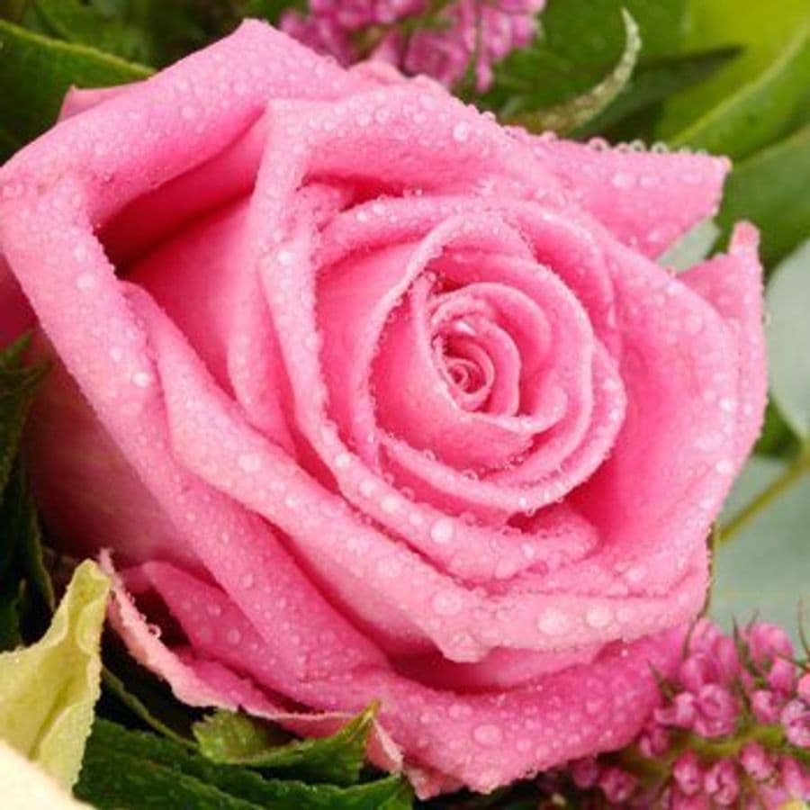 Букет из Роз и Вероники «Мечта о леди»