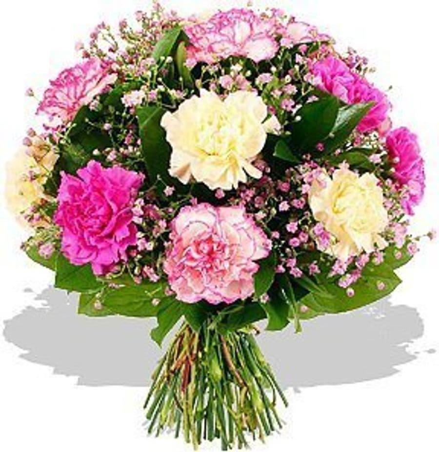 Букет из Гвоздик и Гипсофилы «Настроение Розовых гвоздик»