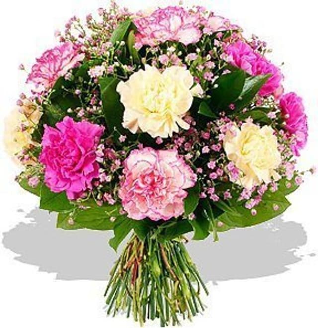 Букет из Гвоздик и Гипсофилы «Настроение Розовых гвоздик» Букет из Гвоздик и Гипсофилы «Настроение Розовых гвоздик»