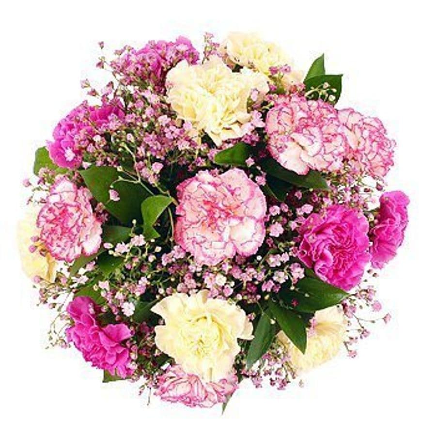 Букет из Гвоздик и Гипсофилы «Настроение Розовых гвоздик»