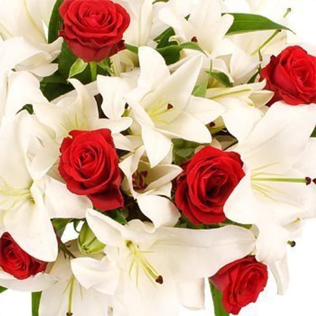 Букет из Роз и Лилий «Огненный лед» Букет из Роз и Лилий «Огненный лед»