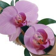 Браслет свадебный №3 Браслет свадебный №3