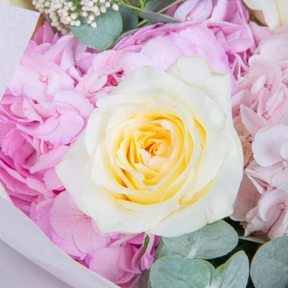 Букет из Гортензий, Роз Эквадор и Озотамнуса «Белоснежная Симфония» Букет из Гортензий, Роз Эквадор и Озотамнуса «Белоснежная Симфония»