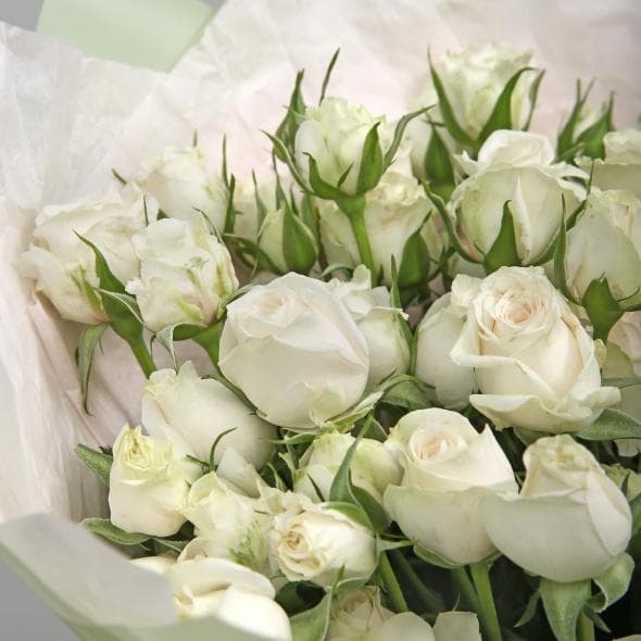 Букет из Кустовых Роз «Белая Арктика» Букет из Кустовых Роз «Белая Арктика»