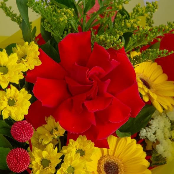 Букет из Роз, Гермини и Хризантем «Цветочный Праздник» Букет из Роз, Гермини и Хризантем «Цветочный Праздник»
