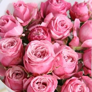 Букет пионовидных Роз «Розовая вуаль» Букет пионовидных Роз «Розовая вуаль»