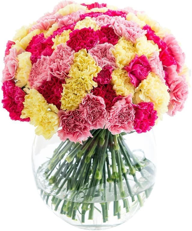 Букет из Гвоздик «Великолепные гвоздики» Букет из Гвоздик «Великолепные гвоздики»