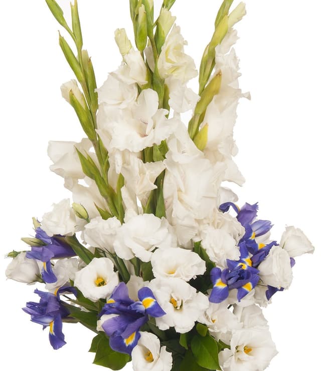 Букет из Ирисов, Лизиантусов и Гладиолусов «Школьный вальс» Букет из Ирисов, Лизиантусов и Гладиолусов «Школьный вальс»